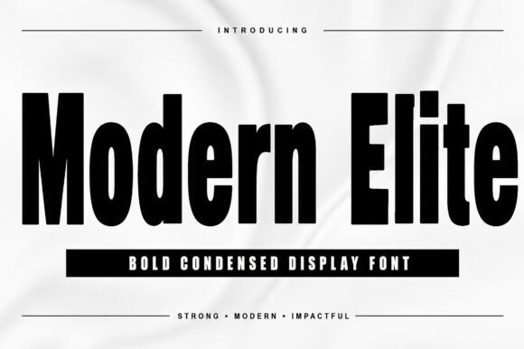 Modern Elite Font for Business